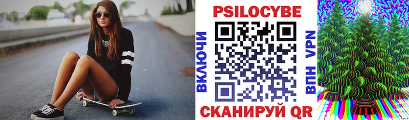где найти наркотики  Гаджиево  Псилоцибиновые грибы Psilocybine cubensis 